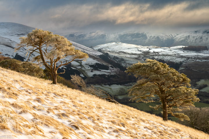 Snow capped hills