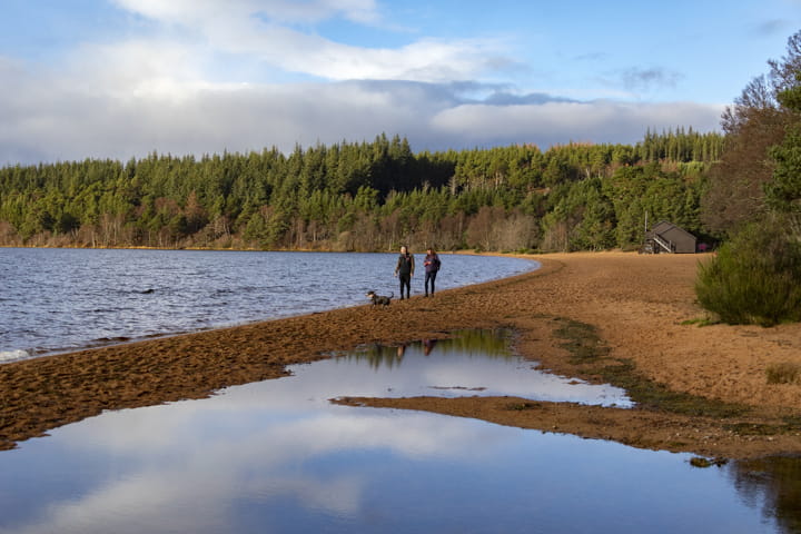 Dogwalkers by a lake