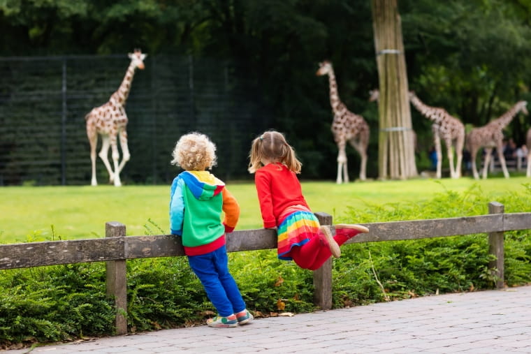 Best spots for nature walks in UK including Brandon Marsh and Looe