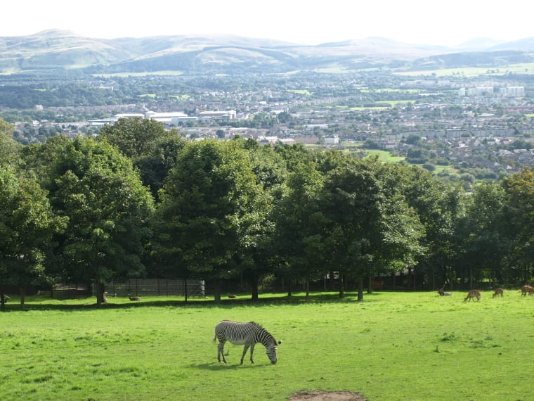 Best spots for nature walks in UK including Brandon Marsh and Looe