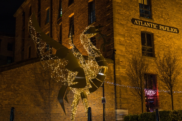 Swan Christmas light