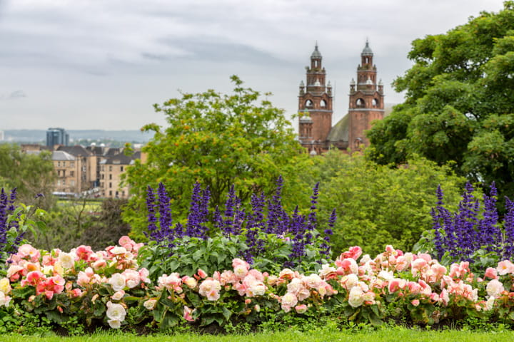 Flowers in a garden