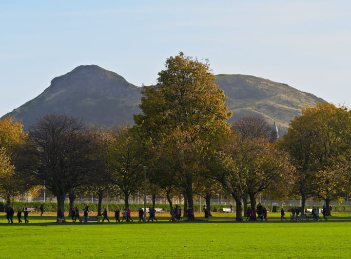 A field with mountains and trees