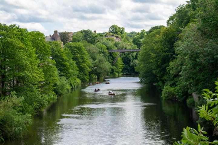 A tree lined river