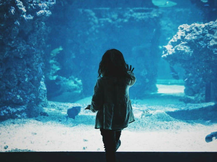 Child at aquarium